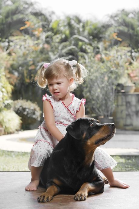 Rase pasa koji se ne slažu najbolje sa decom