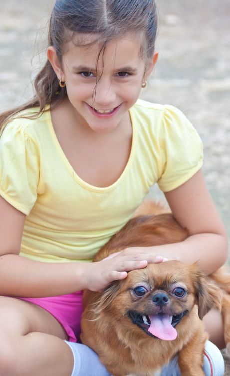 Rase pasa koji se ne slažu najbolje sa decom