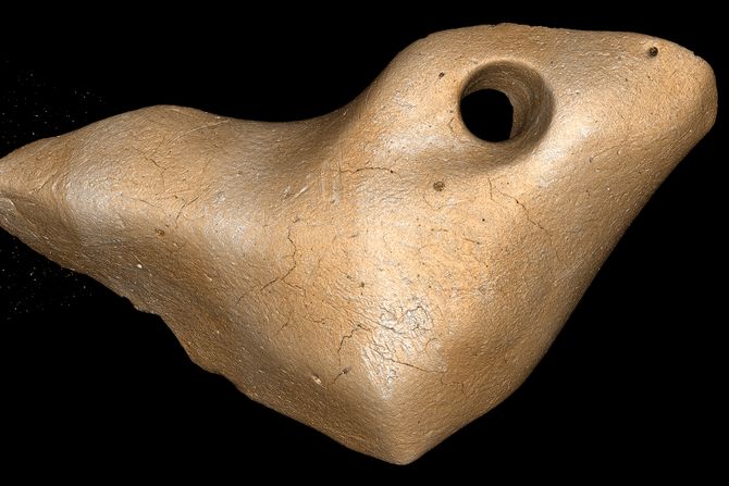 Privesci iz Brazila, naseljavanje Amerike