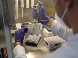 Centar za humanu molekularnu genetiku
, Skrining na SMA