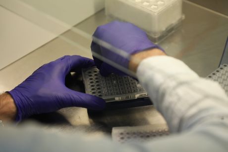 Centar za humanu molekularnu genetiku
, Skrining na SMA