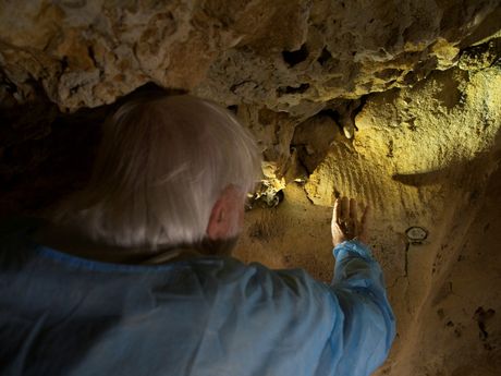 Pećinski crteži, Francuska