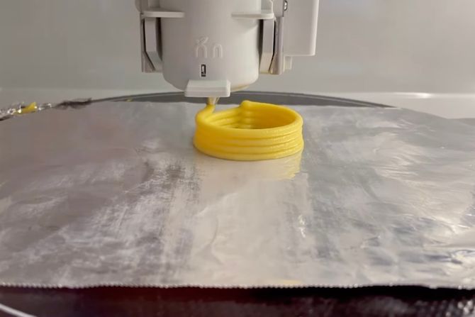 Morski plodovi, 3D štampa