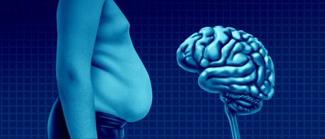 Gojaznost, mozak, kontrola