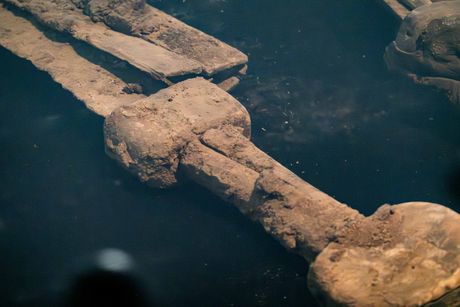 Rimski mačevi, Izrael