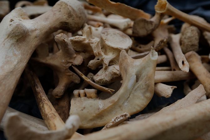 Arheolozi, ostaci, Španija