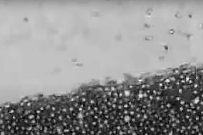 zrnca, gvožđe, mikroroleri