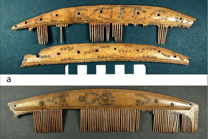 Vikinški češljevi