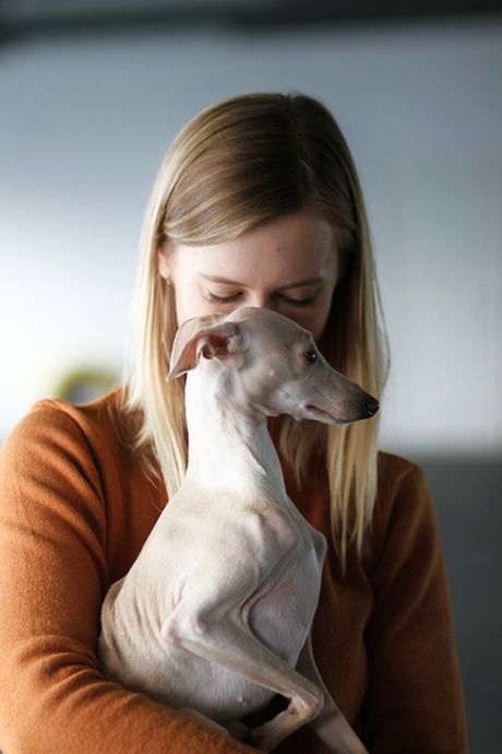 Briga o kućnom ljubimcu