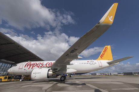 Avion Pegasus Airlines Airbus A320