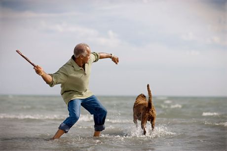 Pas igranje sa štapom