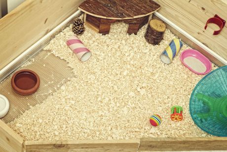 Zamorac čišćenje kaveza