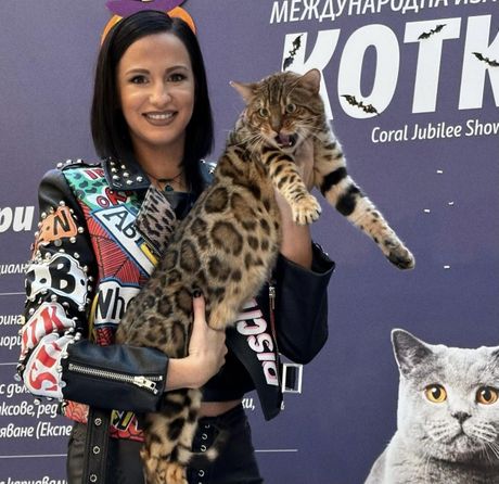 Mia Milojević, vlasnica odgajivačnice Raja Empire Wcf Bengal Cattery i bengalac Radža