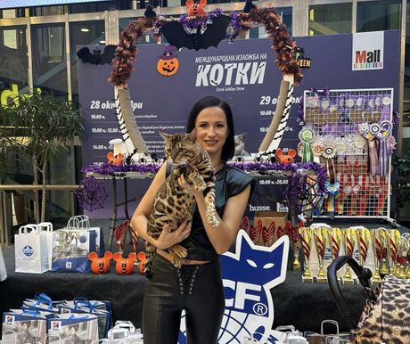 Mia Milojević vlasnica odgajivačnice Raja Empire Wcf Bengal Cattery i Dante Alpamayo