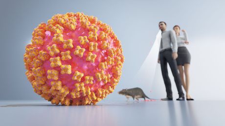 30 bolesti koje životinje prenose ljudima