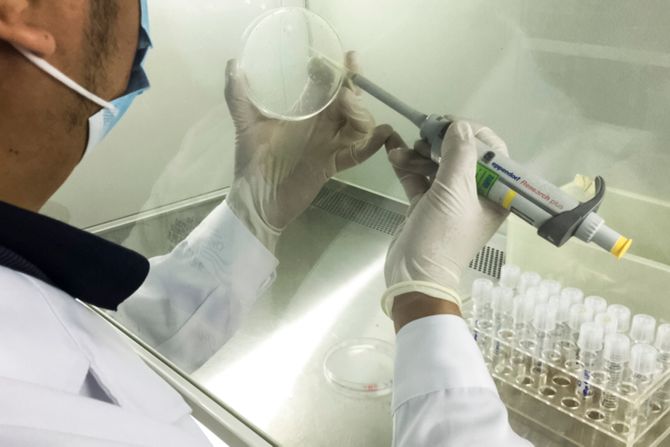 Istraživanje kvasca