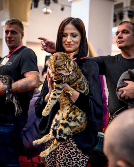 Mrnjau Fest 2023: Najlepše mačke sa festivala