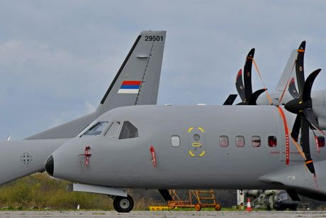 C295W RviPVO C295W RviPVO