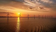 Kit perajar nasukao se na plažu: Ekolozi se sukobili oko opasnosti od pomorskiih vetroparkova