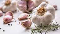 Može li beli luk da zameni antiseptičke rastvore? Naučnici ga uporedili s hlorheksidinom, zaključak je jasan