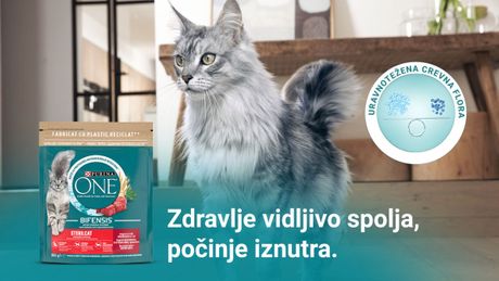 Purina hrana za mačke