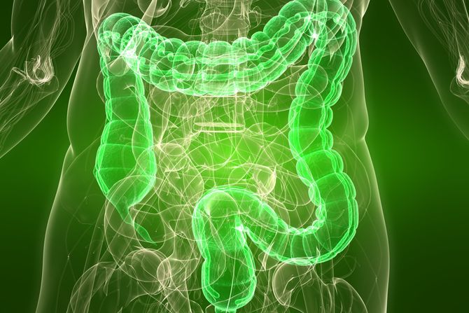 creva stomak rendgen