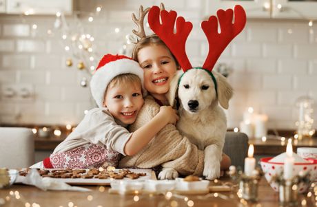 Deca i pas novogodišnji praznici