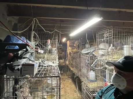 Florida Polk County Sheriffs Office