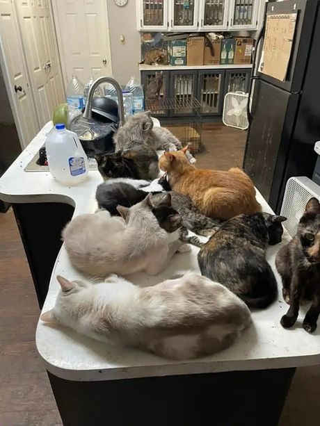 Florida Polk County Sheriffs Office