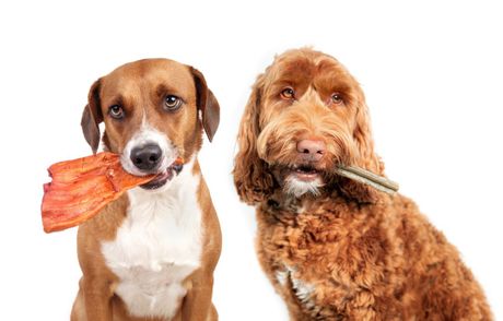 Psi i poslastice za izbegavanje