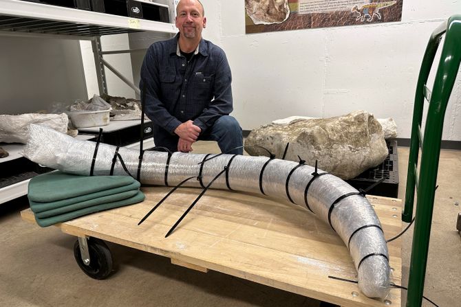 Rudnik Severna Dakota pronađena kljova mamuta stara bar 10.000 godina