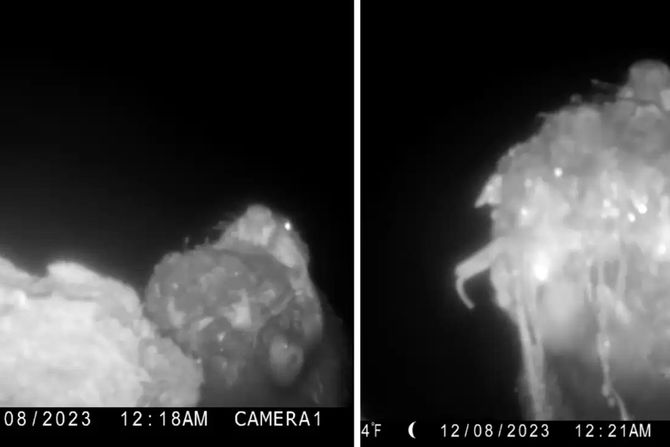 John Beach Dabar i kamera