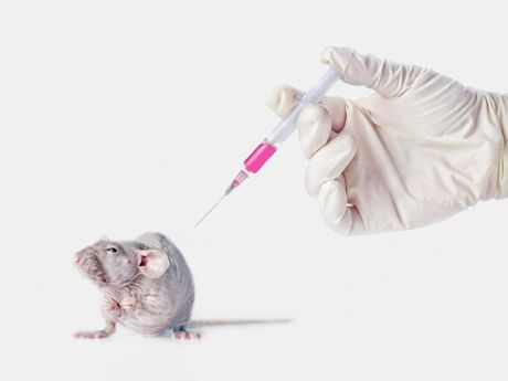 Miš i vakcina