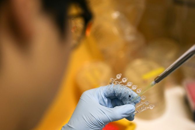 Institut Frencis Krik