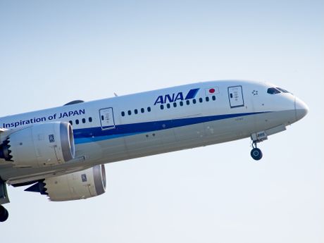 All Nippon Airways (ANA) Boeing 787 All Nippon Airways (ANA) Boeing 787