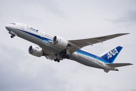 All Nippon Airways (ANA) Boeing 787