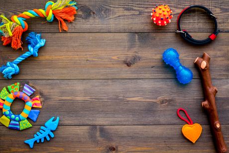 Igračke za kućne ljubimce