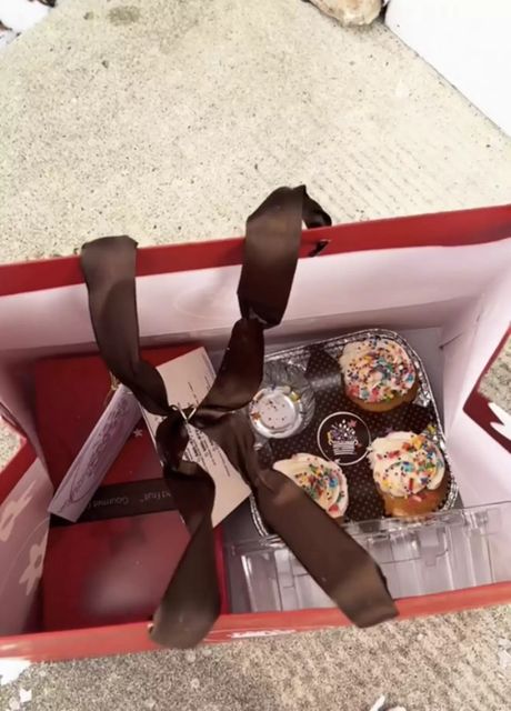 Veverica krade kolače Casey Bard