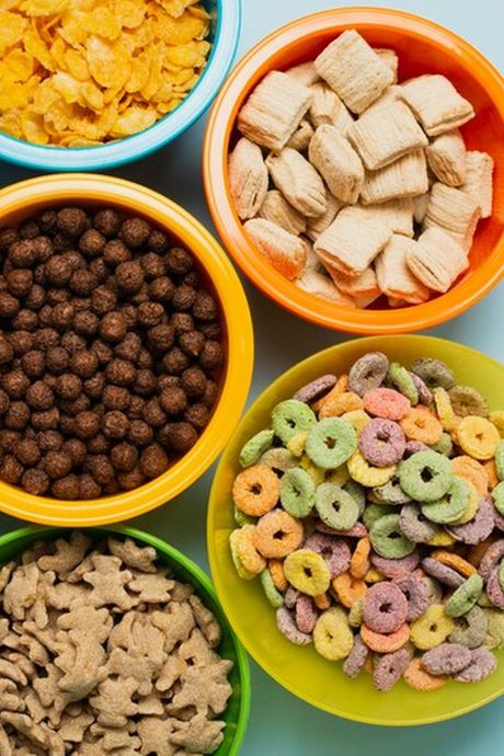 Ishrana kućnog ljubimca