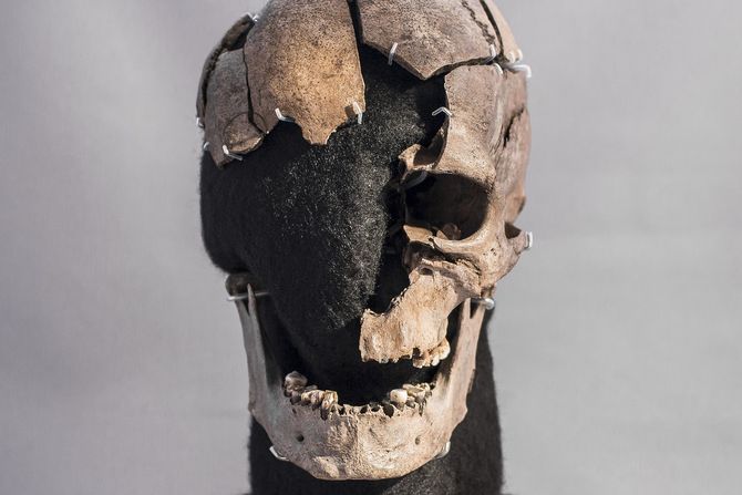 Lobanja čoveka iz Vitrupa