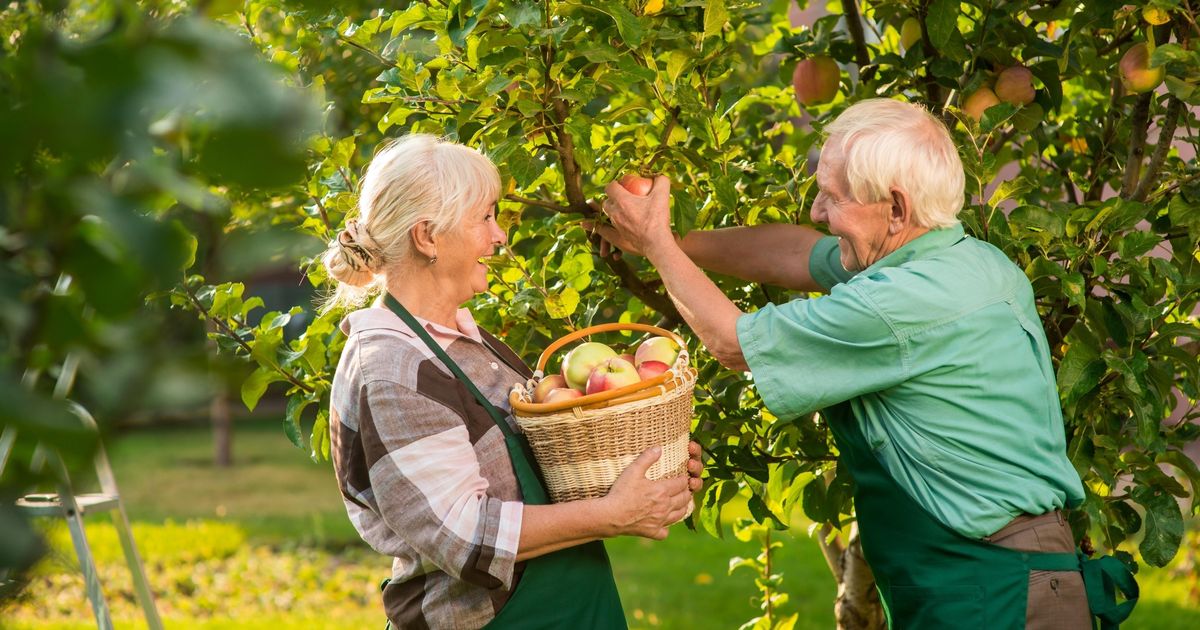 Nova studija pokazuje: Način na koji gledate na starenje direktno utiče na vaše zdravlje i dugovečnost