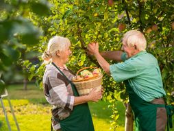 Stari ljudi zdravlje