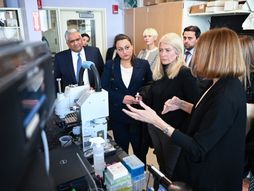 Ministarstvo nauke, tehnološkog razvoja i inovacija