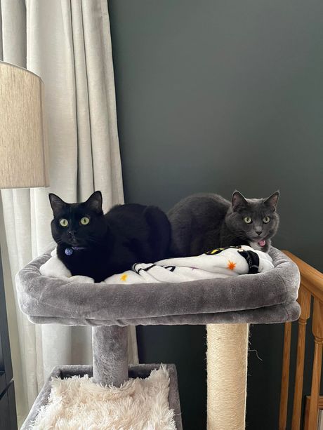 Sage Horn,  Jakob Mattern