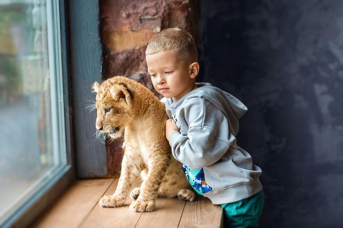 Divlje životinje kućni ljubimci