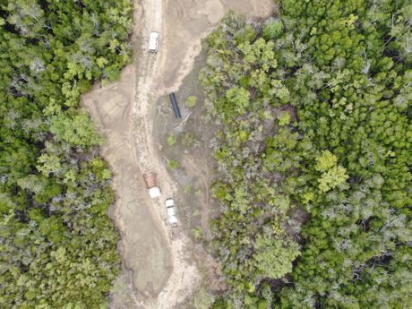 Australija, krčenje mangrova