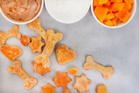 Domaće granule za pse