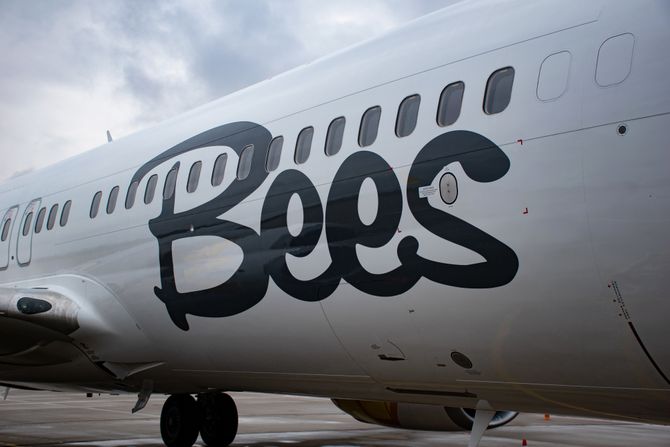 Bees Airlines Bees Airlines