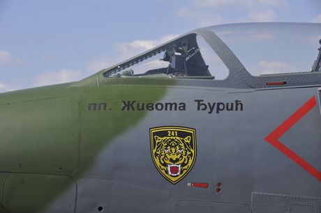 Orao sa slikom ppk Živote Đurića