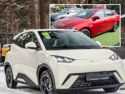 Byd seagull, qin plus auto